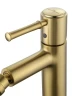 Смеситель для биде Wonzon & Woghand Tor WW-88016073-BG цвет Брашированное золото