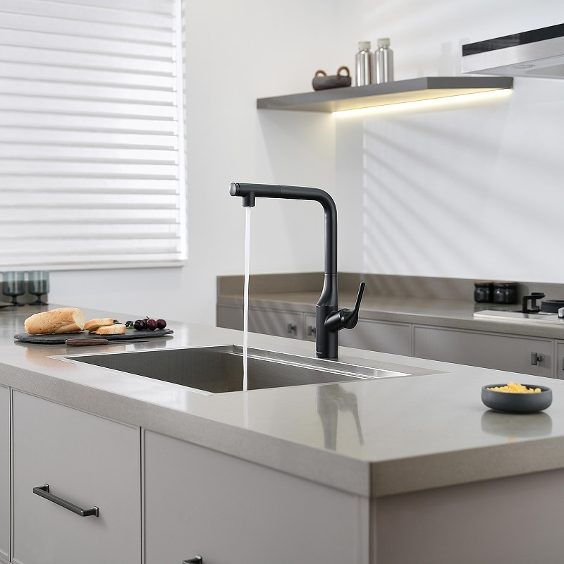 Смеситель для кухни Domaci Римини D569218BK цвет Черный матовый