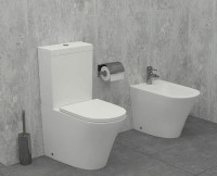 Унитаз компакт Jacob Delafon Rodin+ UJAB102-00 без бачка и сиденья фарфор напольный
