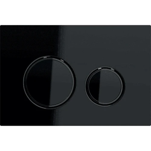 Кнопка смыва для инсталляции Geberit Sigma 21 115.651.SJ.1 Черная
