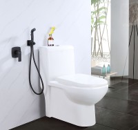 Гигиенический душ со смесителем Lemark Ursus LM7219BL Черный латунь встраиваемый