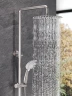 Душевая система Alfi LF193333 цвет Никель