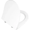 Сиденье для унитаза Vitra Nest 220-003R409 с Микролифтом
