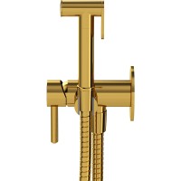 Гигиенический душ со смесителем Whitecross Y gold SYSYBI2GL Золото латунь встраиваемый