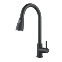Смеситель для кухни Raffine F213H цвет Черный