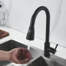 Смеситель для кухни Raffine F213H цвет Черный