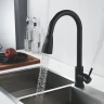Смеситель для кухни Raffine F213H цвет Черный