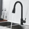 Смеситель для кухни Raffine F213H цвет Черный