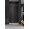 Душевая дверь New Trendy EVENTA Chrome x100 EXK-4454