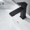 Смеситель для раковины Splenka S01.10.06 Черный матовый латунь