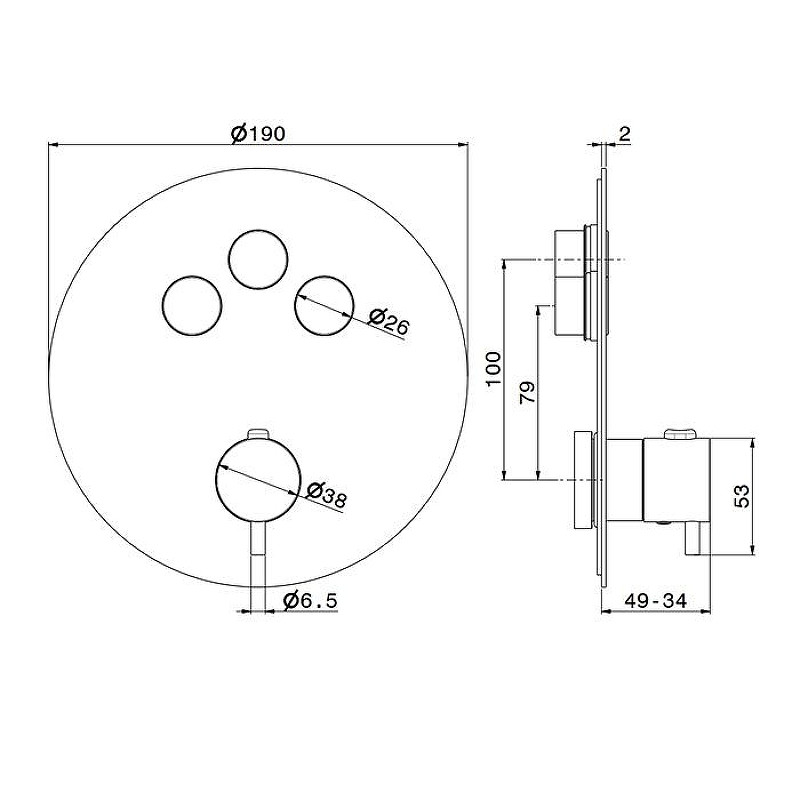 Смеситель для душа Newform X-Steel 316 70427EX.59.098 с термостатом цвет Pale Gold
