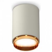 Накладной светильник Ambrella Light XS XS6314024