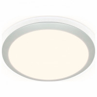 Накладной светильник Ambrella Light FF FF49