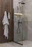 Душевая перегородка Timo TP-1190/03C-8 1190x1950 T10 в узком профиле Черный стекло прозрачное