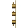 Душевая система Whitecross Y brushed gold YSET11GLB с термостатом Брашированное золото латунь встраиваемый