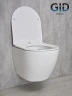 Унитаз Gid Convexo Tr2198 61107Y подвесной цвет Белый с сиденьем Микролифт