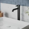 Смеситель для раковины Paini Brera 74PZ205OLL Черный матовый
