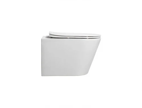 Унитаз Splendy Bliss BL10152VTNWG подвесной цвет Белый без сиденья