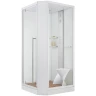 Душевая кабина Orans SR-89101LS White LH 100x100 L 89101LWLH с паром и гидромассажем