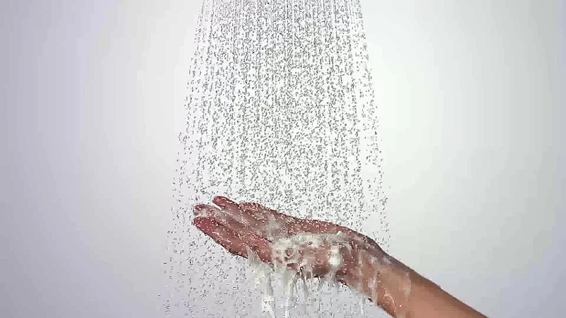 Ручной душ Hansgrohe Raindance Select S 26530140 Бронза матовая пластик
