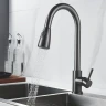 Смеситель для кухни Raffine F213T цвет Оружейная сталь