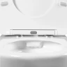 Комплект унитаза с инсталляцией Aquatek Set Aquatek Бетта KDI18 с сиденьем Микролифт  и клавишей смыва Хром глянцевый фарфор подвесной