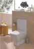 Унитаз компакт Laufen Palace New 8.2470.6.000.000.1 без бачка и сиденья