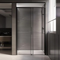 Душевая дверь Veconi Premium Trento PTD-40B 120 PTD40-B-120-01-C4 профиль Черный матовый стекло прозрачное