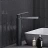 Смеситель для раковины Damixa Merkur 400250300 Черный матовый латунь