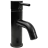 Смеситель для раковины Paini Cox 78PZ205 Черный матовый