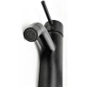 Смеситель для раковины Paini Cox 78PZ205 Черный матовый