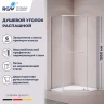 Душевой уголок RGW Passage (Пассаж) PA-081-1 100х100 3508081100-11 профиль Хром стекло прозрачное