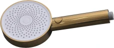 Ручной душ Allen Brau Priority 5.31B20-GB цвет Золото