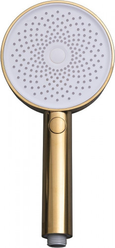 Ручной душ Allen Brau Priority 5.31B20-GB цвет Золото
