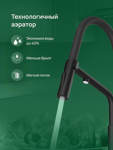 Смеситель для кухни Domaci Римини D569174BK цвет Черный матовый