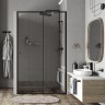 Душевая дверь WasserKRAFT Dill 140 61S31 профиль Черный матовый стекло прозрачное