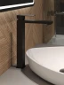 Смеситель для раковины Alfi LF312144 цвет Черный матовый