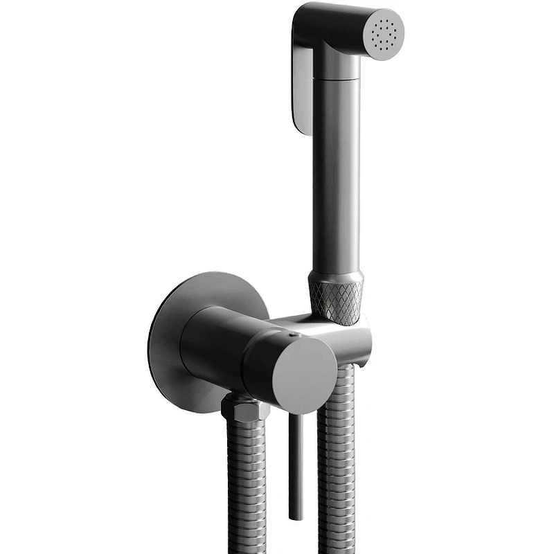 Гигиенический душ со смесителем RGW Shower Panels SP-211Gr 581408211-11 Серый брашированный латунь встраиваемый