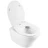 Комплект унитаза с инсталляцией BelBagno Acqua BB340CHR/BB2020SC/BB002-80/BB005-PR-CHROME с сиденьем Микролифт и клавишей смыва Хром глянцевый фаянс подвесной