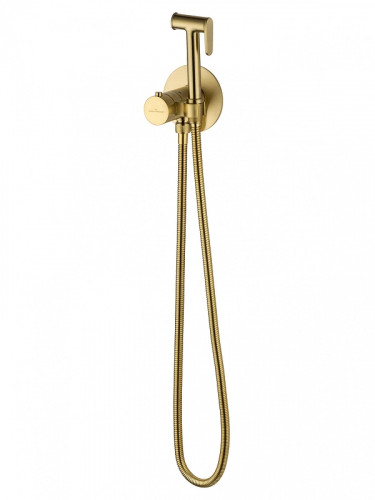 Гигиенический душ со смесителем Wonzon &amp; Woghand WW-88829909-BG цвет Брашированное золото