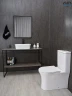 Раковина-чаша Gid Creativo 53 N9028 51233 цвет Белый