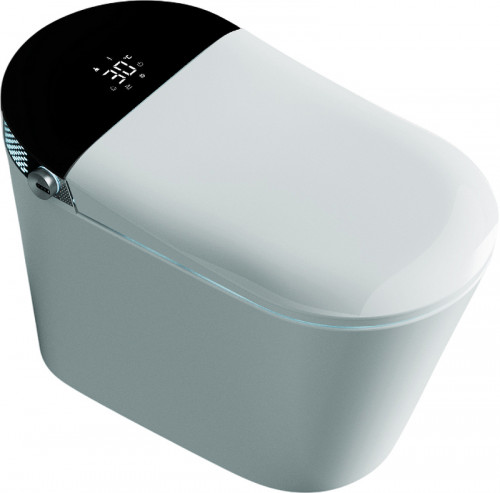 Унитаз биде Timo TE-741B с сиденьем Микролифт фаянс напольный
