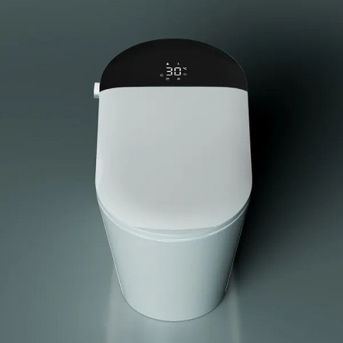 Унитаз биде Timo TE-741B с сиденьем Микролифт фаянс напольный