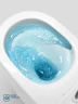 Унитаз подвесной BelBagno Unique BB007CH-TOR/SC цвет Белый с сиденьем Микролифт