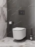 Унитаз подвесной BelBagno Unique BB007CH-TOR/SC цвет Белый с сиденьем Микролифт