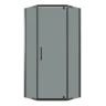 Душевой уголок Niagara Eco 100х100 NG-1010-14DT профиль цвет Черный матовый стекло тонированное
