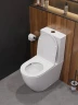 Унитаз-компакт Cezares Вектор (Stylus) CZR-538-CP-TOR/SC цвет Белый без бачка с сиденьем Микролифт