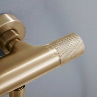 Душевая система Vincea Desire VSFS-1D0TBG с термостатом Брашированное золото латунь на стену