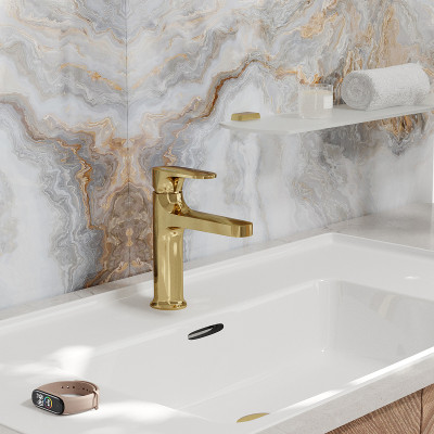 Смеситель для раковины WasserKRAFT Neckar 2103 Золото глянцевое латунь