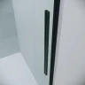Душевой уголок Grossman Galaxy 110x100 120.K33.01.1110.21.00 профиль Черный матовый стекло прозрачное